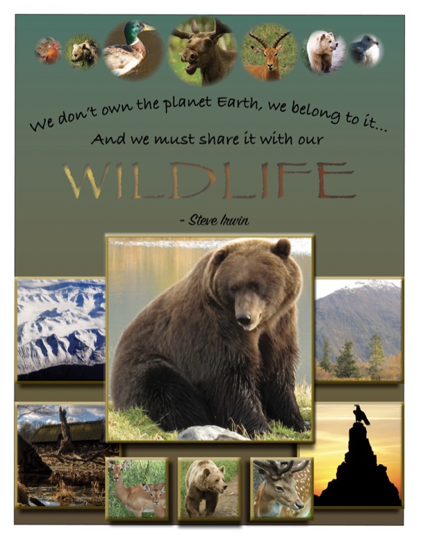 other works wildlife poster